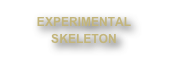 EXPERIMENTAL
SKELETON
